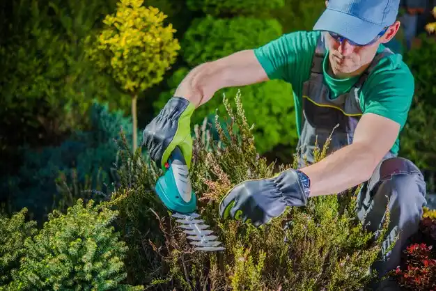 landscaping services Mooringsport